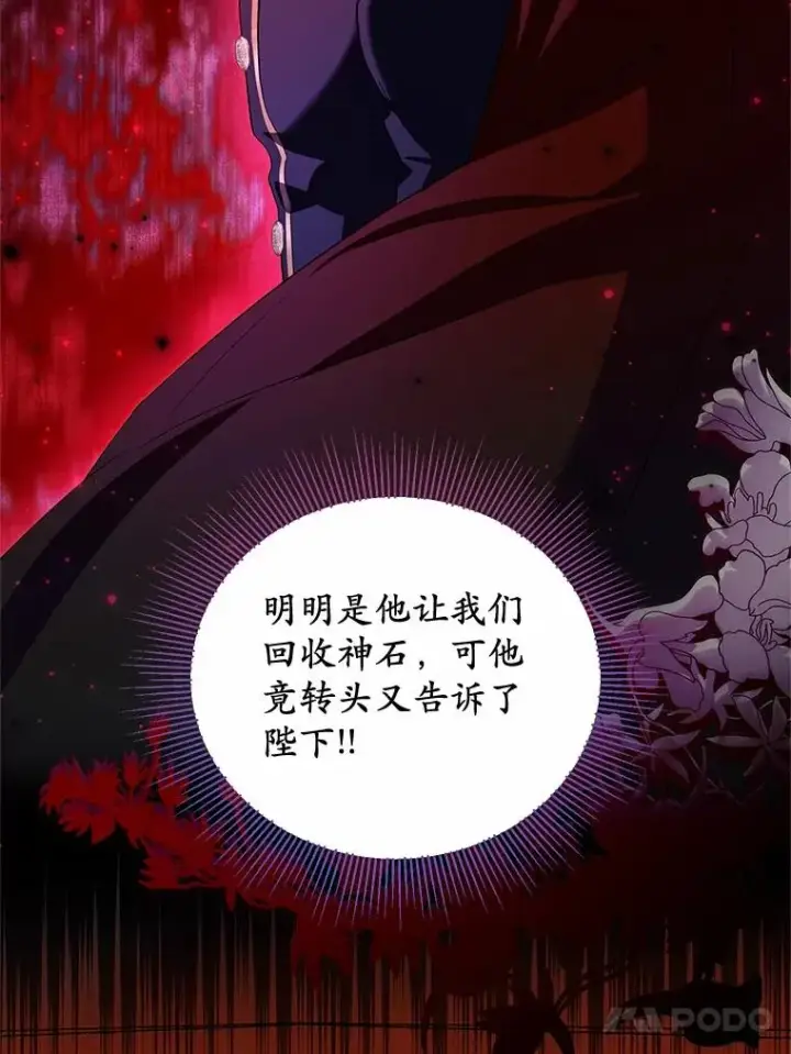 《收养的儿媳准备弃养了》76.这是神石图88