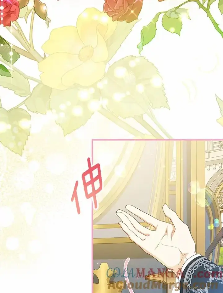 漫画《收养的儿媳准备弃养了》78.亮相舞会第77张图