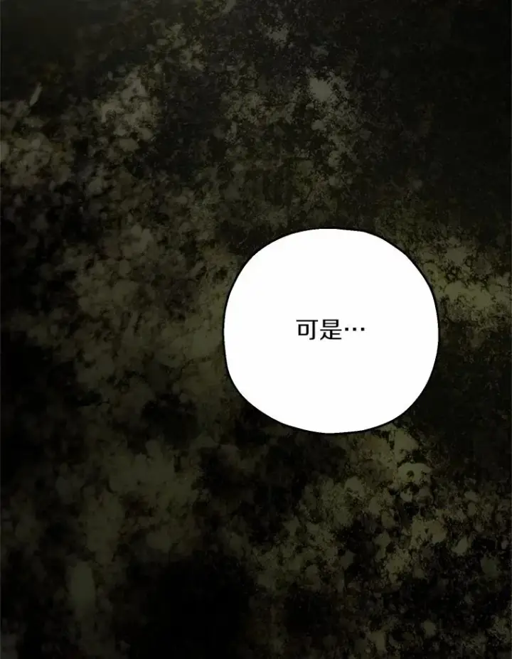 《收养的儿媳准备弃养了》80.小偷的女儿图75