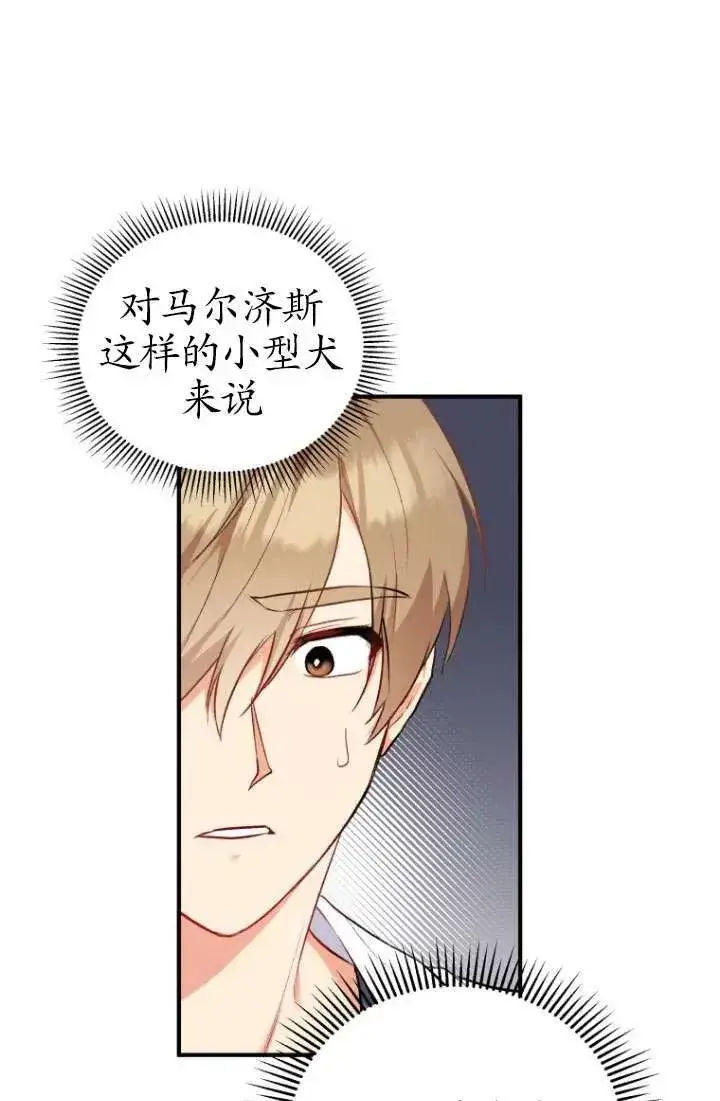 漫画《兽医先生！你好？》第01话第106张图