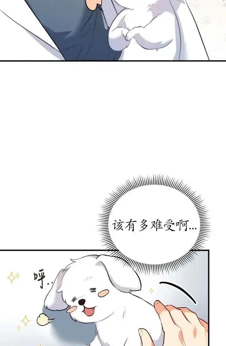 漫画《兽医先生！你好？》第01话第108张图