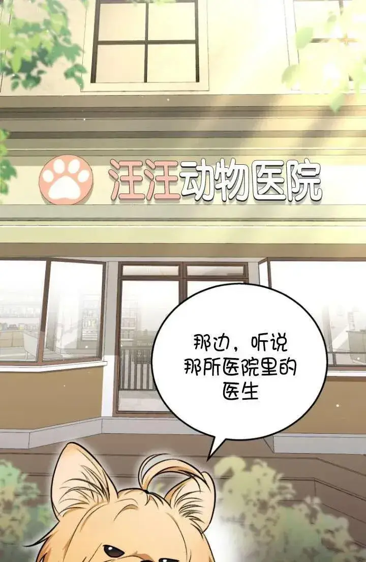 漫画《兽医先生！你好？》第01话第2张图