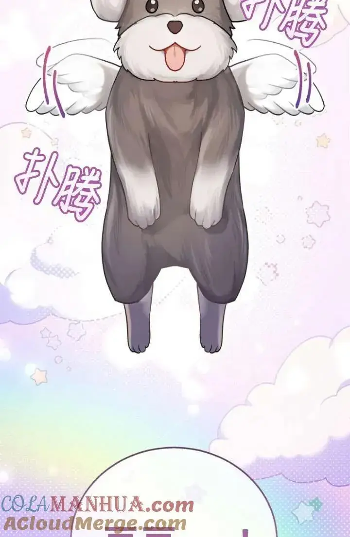 漫画《兽医先生！你好？》第01话第21张图