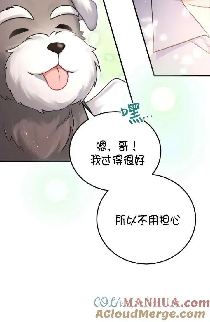 漫画《兽医先生！你好？》第01话第25张图