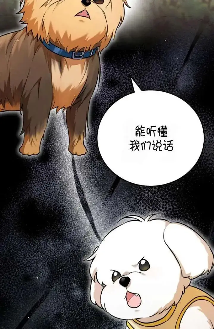漫画《兽医先生！你好？》第01话第3张图