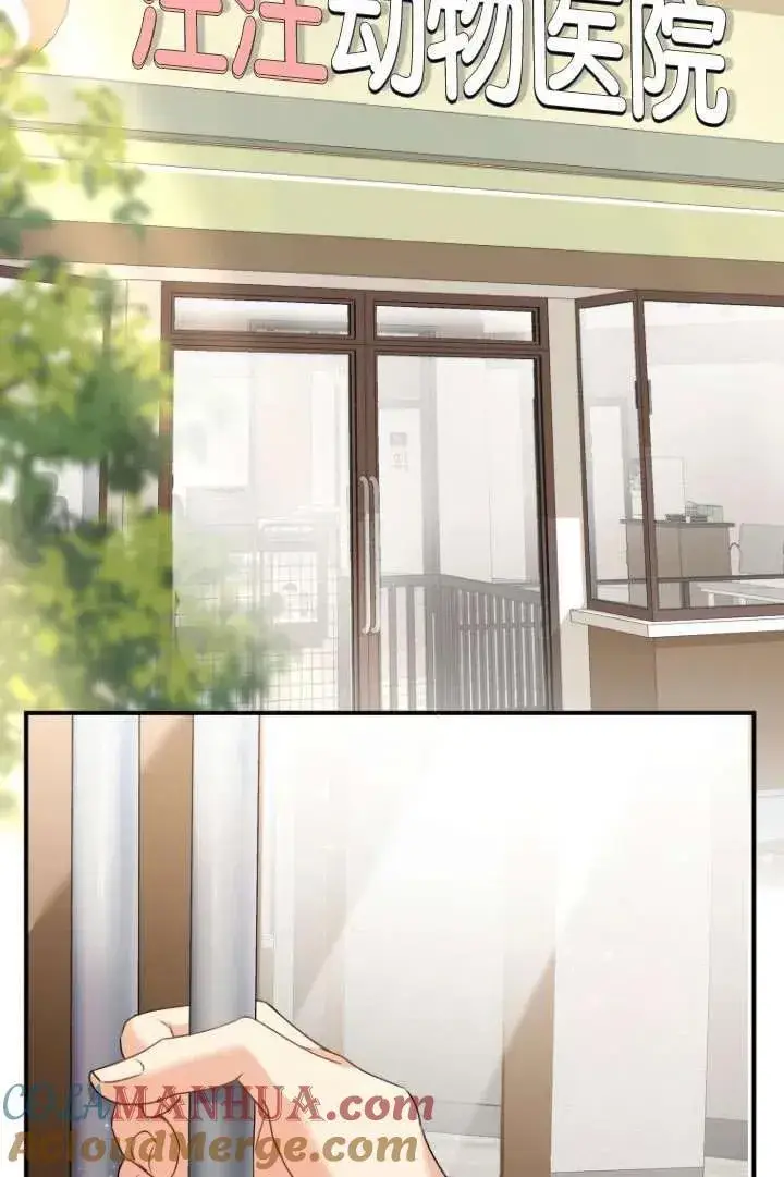 漫画《兽医先生！你好？》第01话第45张图