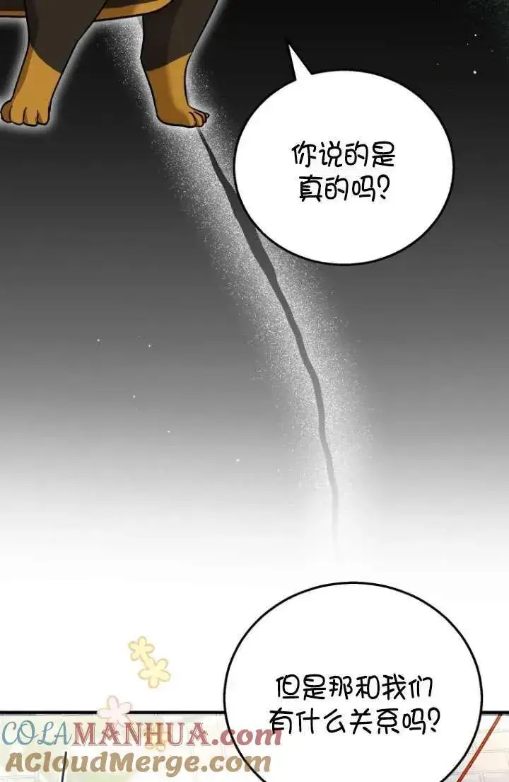 漫画《兽医先生！你好？》第01话第5张图