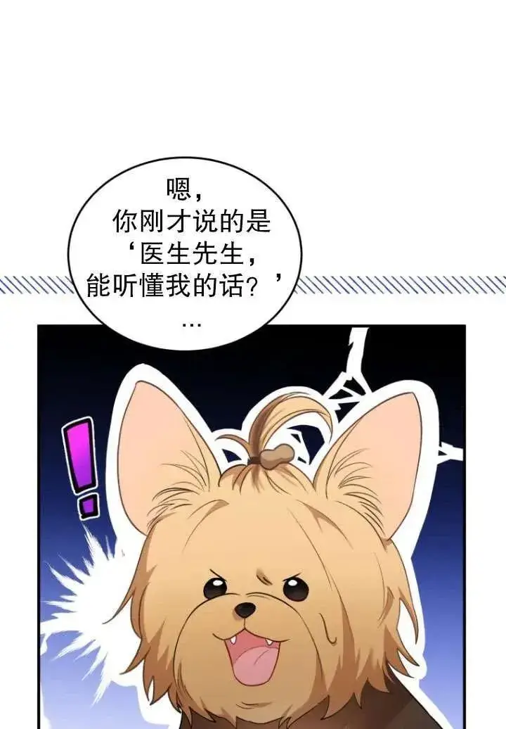 漫画《兽医先生！你好？》第02话第52张图