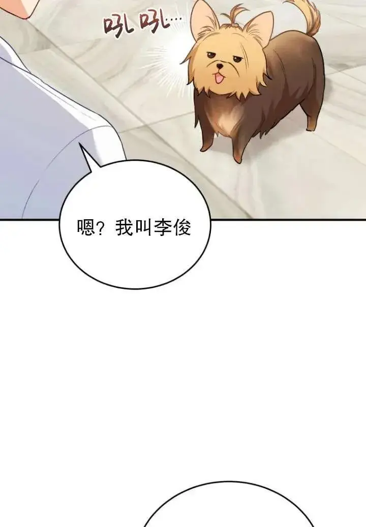 漫画《兽医先生！你好？》第02话第54张图