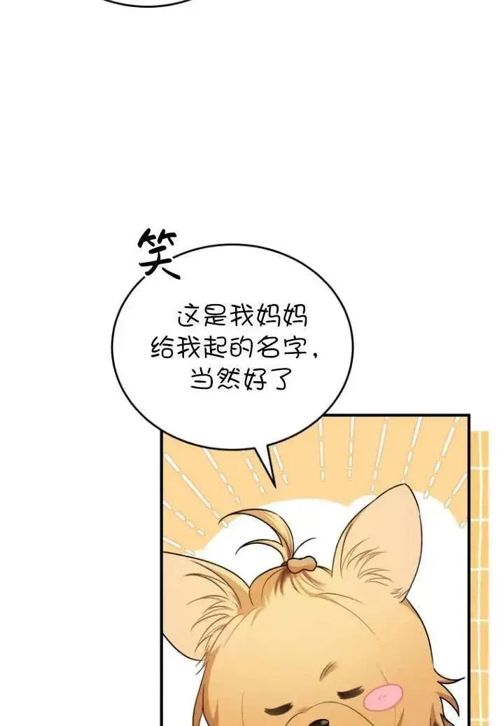 漫画《兽医先生！你好？》第02话第56张图