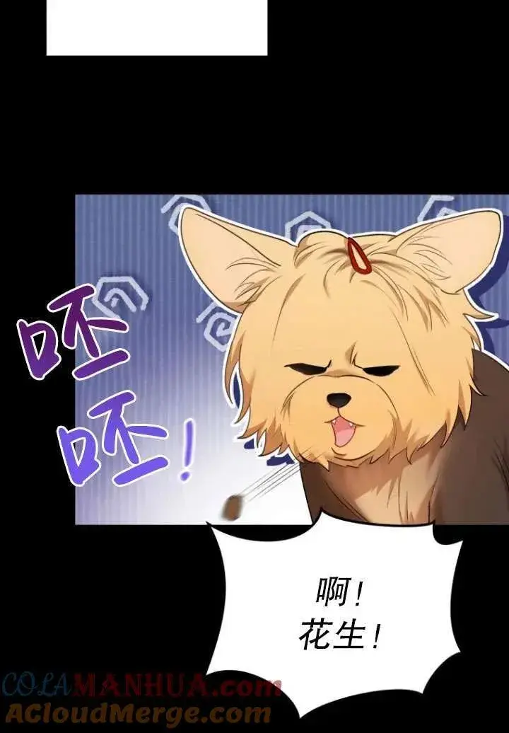 漫画《兽医先生！你好？》第02话第61张图