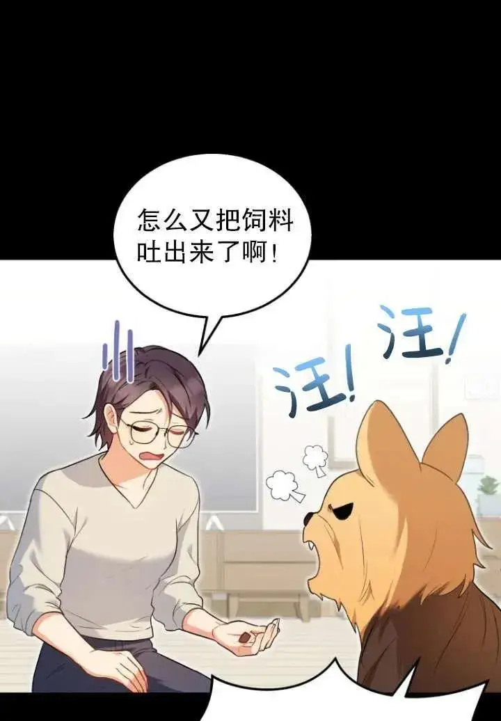 漫画《兽医先生！你好？》第02话第62张图