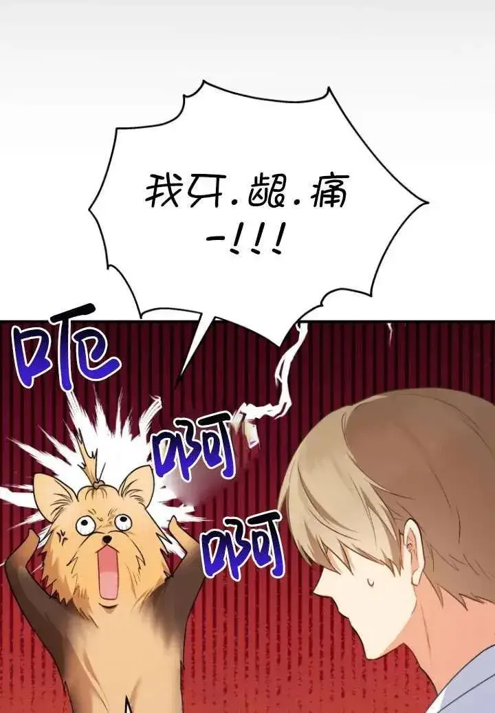 漫画《兽医先生！你好？》第02话第67张图