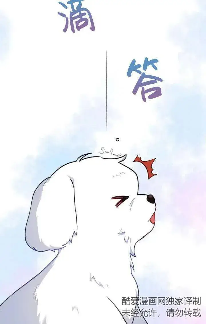 漫画《兽医先生！你好？》第02话第7张图