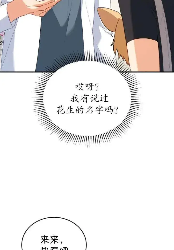 漫画《兽医先生！你好？》第02话第74张图