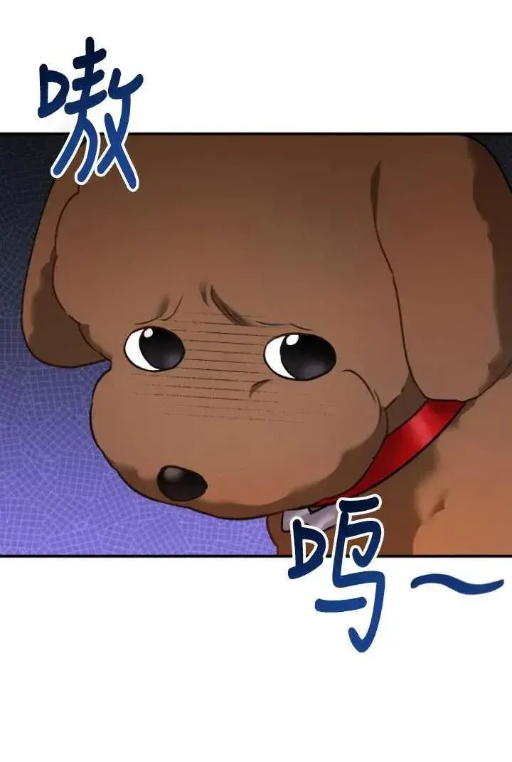 漫画《兽医先生！你好？》第03话第12张图