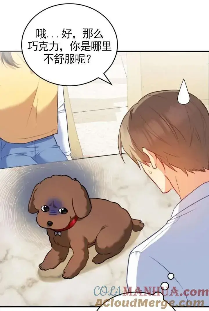 漫画《兽医先生！你好？》第03话第13张图