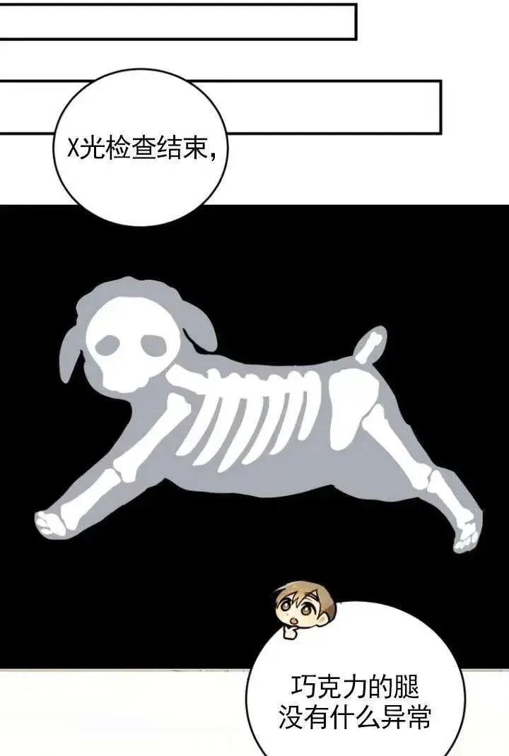 漫画《兽医先生！你好？》第03话第24张图