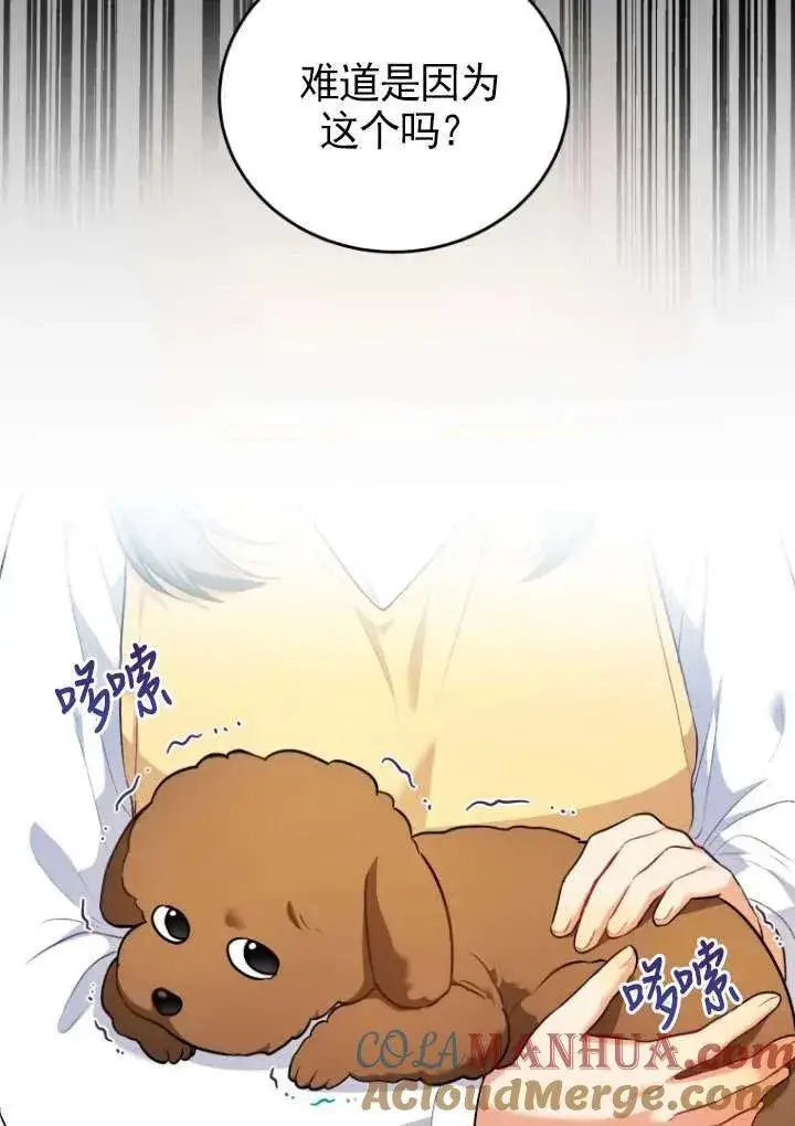漫画《兽医先生！你好？》第03话第40张图