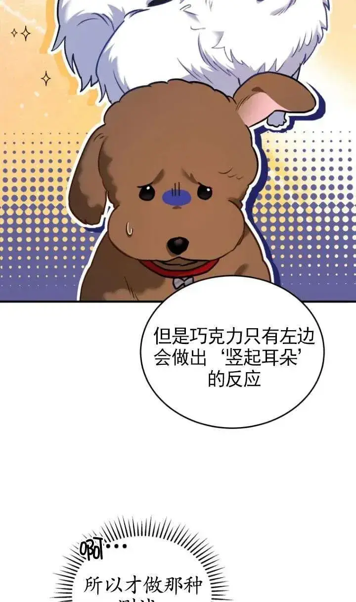 漫画《兽医先生！你好？》第03话第63张图