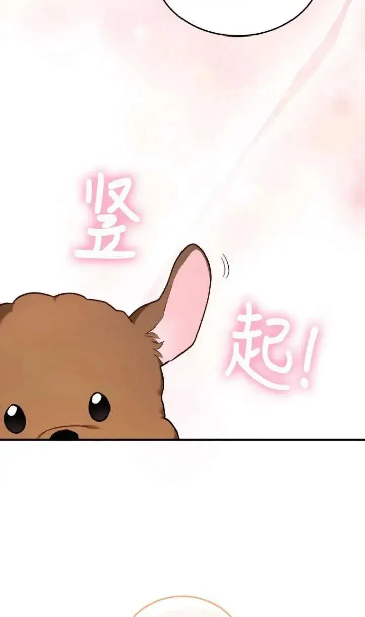 漫画《兽医先生！你好？》第03话第69张图