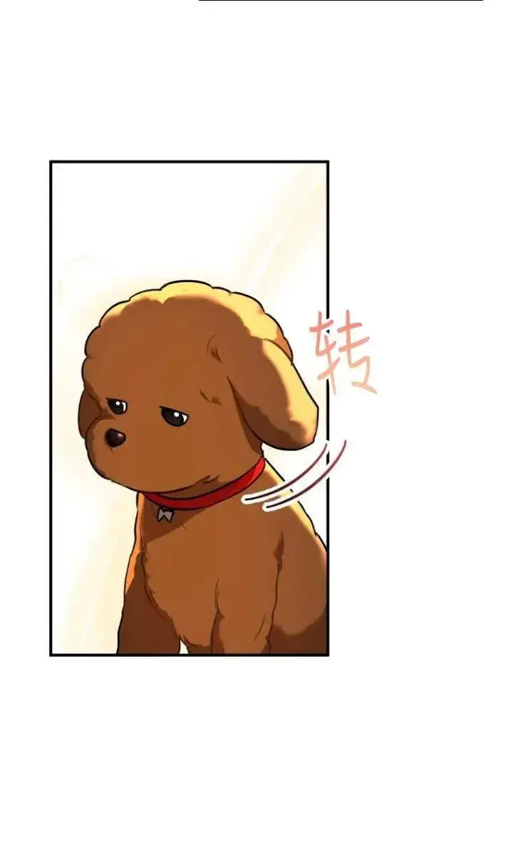 漫画《兽医先生！你好？》第03话第71张图