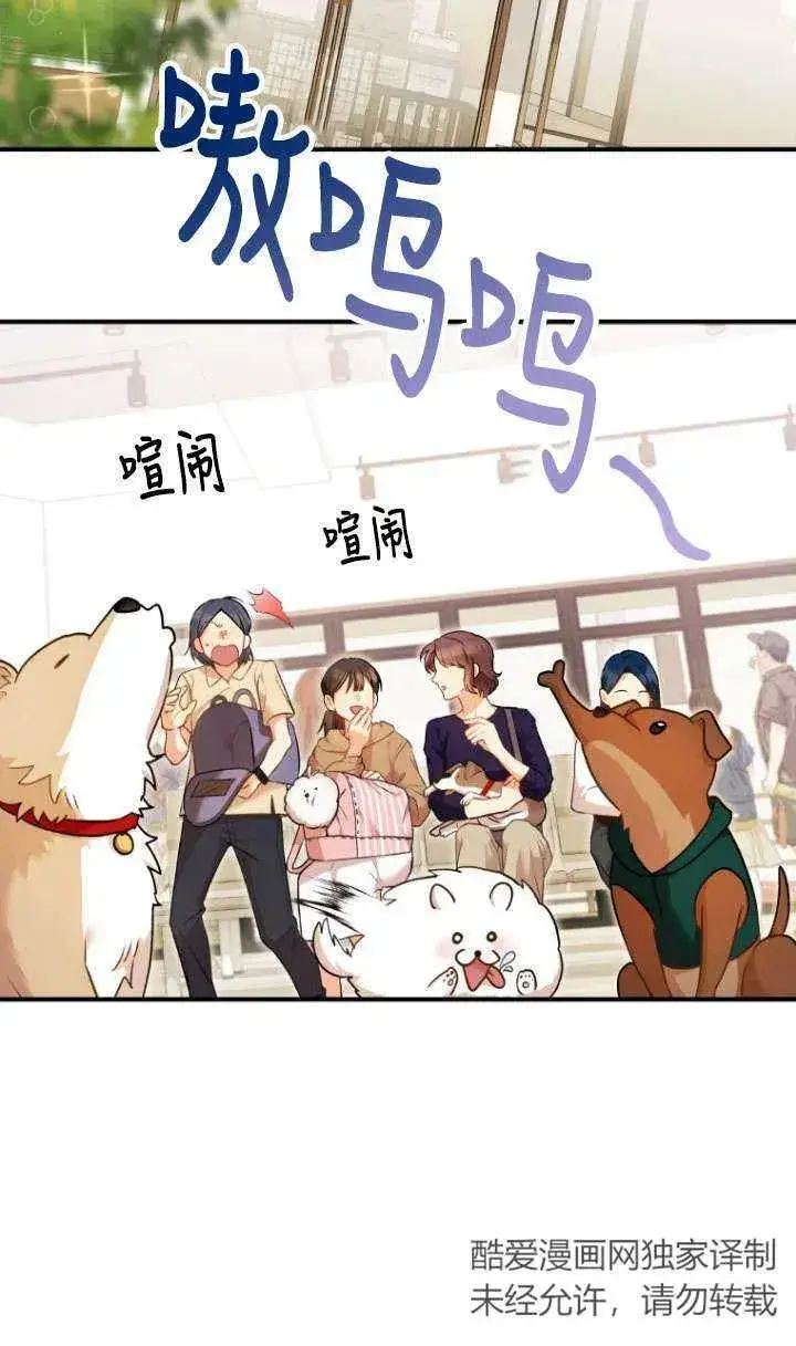 漫画《兽医先生！你好？》第03话第74张图