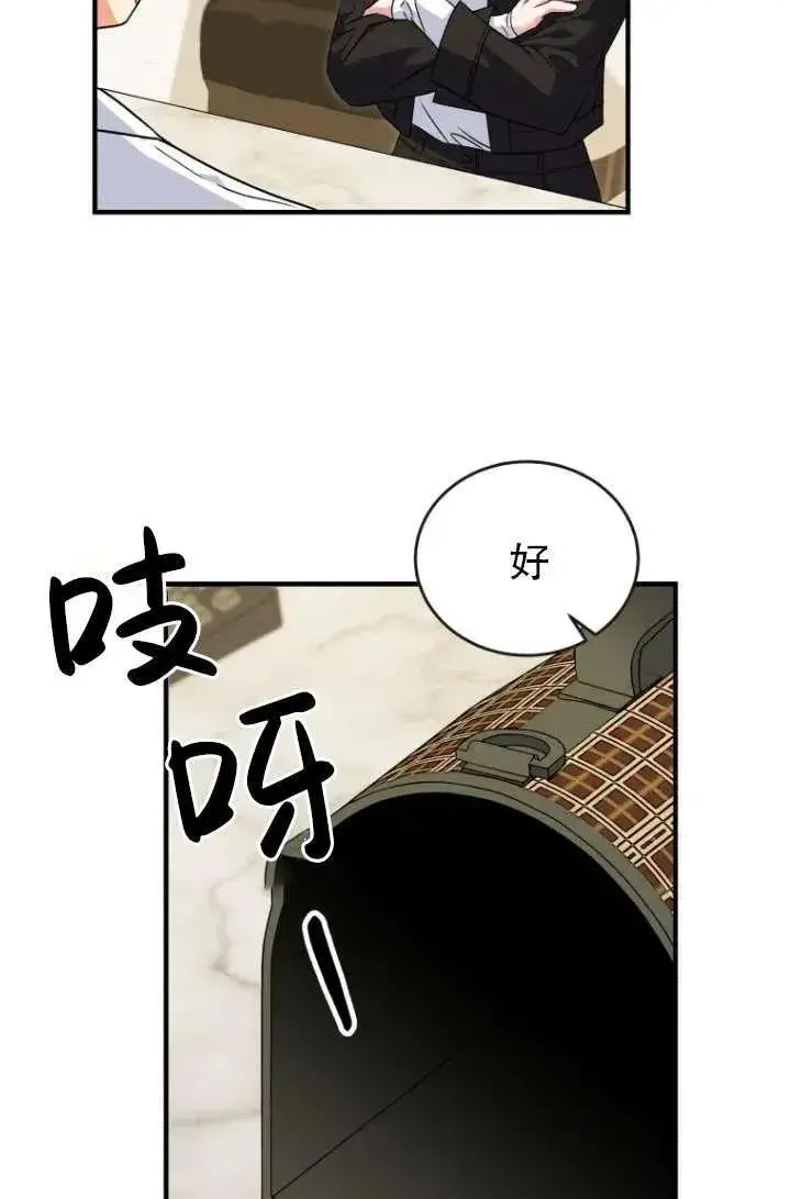 《兽医先生！你好？》第04话图39