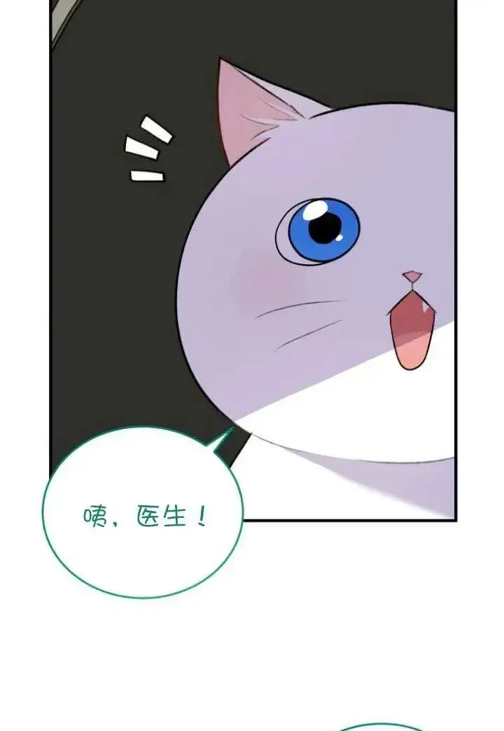 《兽医先生！你好？》第04话图54