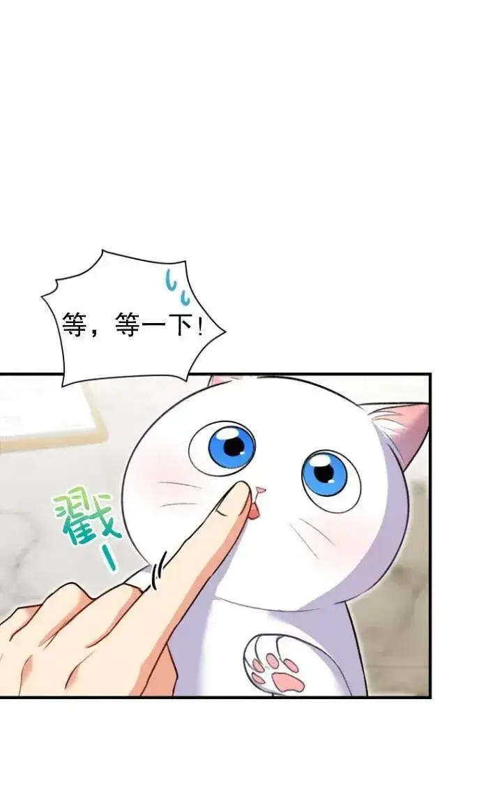 《兽医先生！你好？》第04话图65