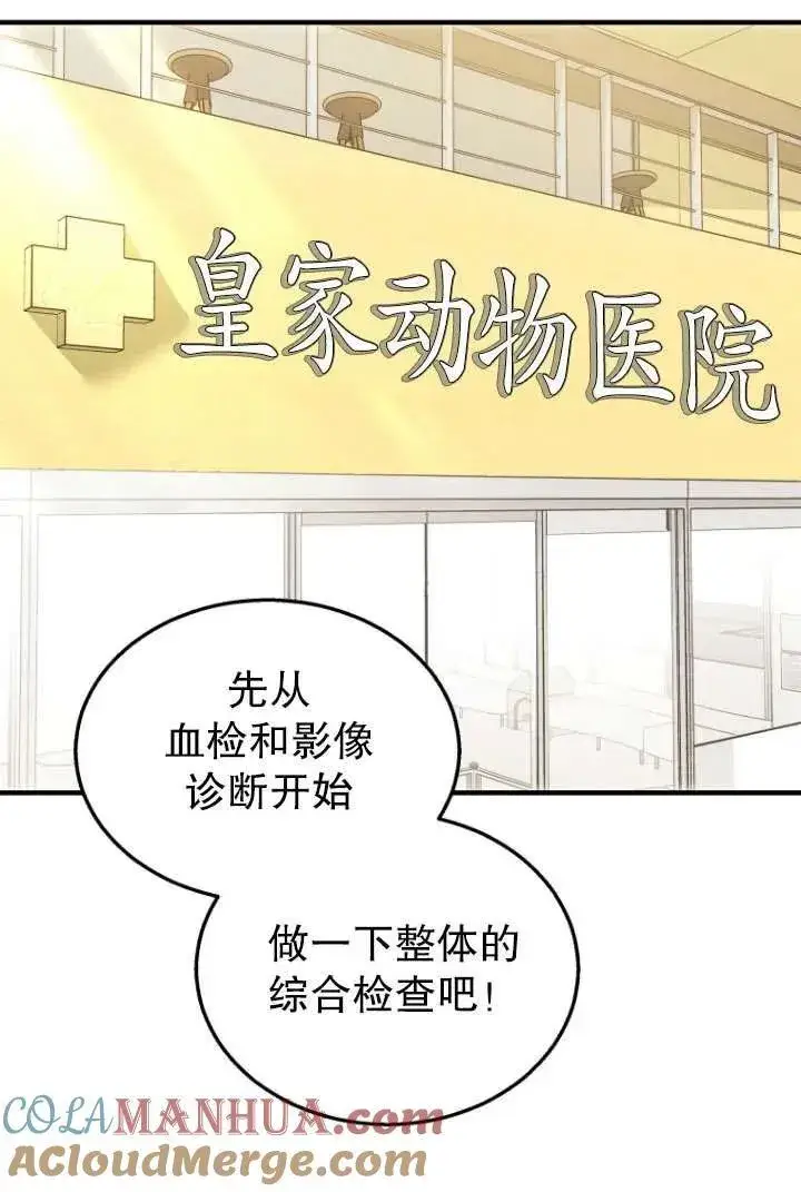 《兽医先生！你好？》第04话图7