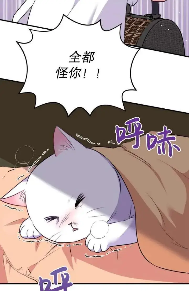 《兽医先生！你好？》第04话图92
