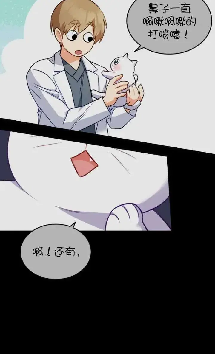漫画《兽医先生！你好？》第05话第19张图