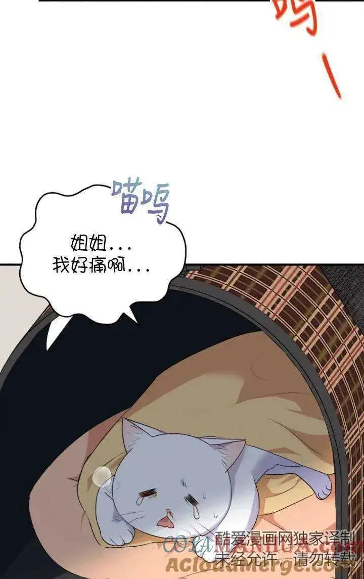 漫画《兽医先生！你好？》第05话第33张图