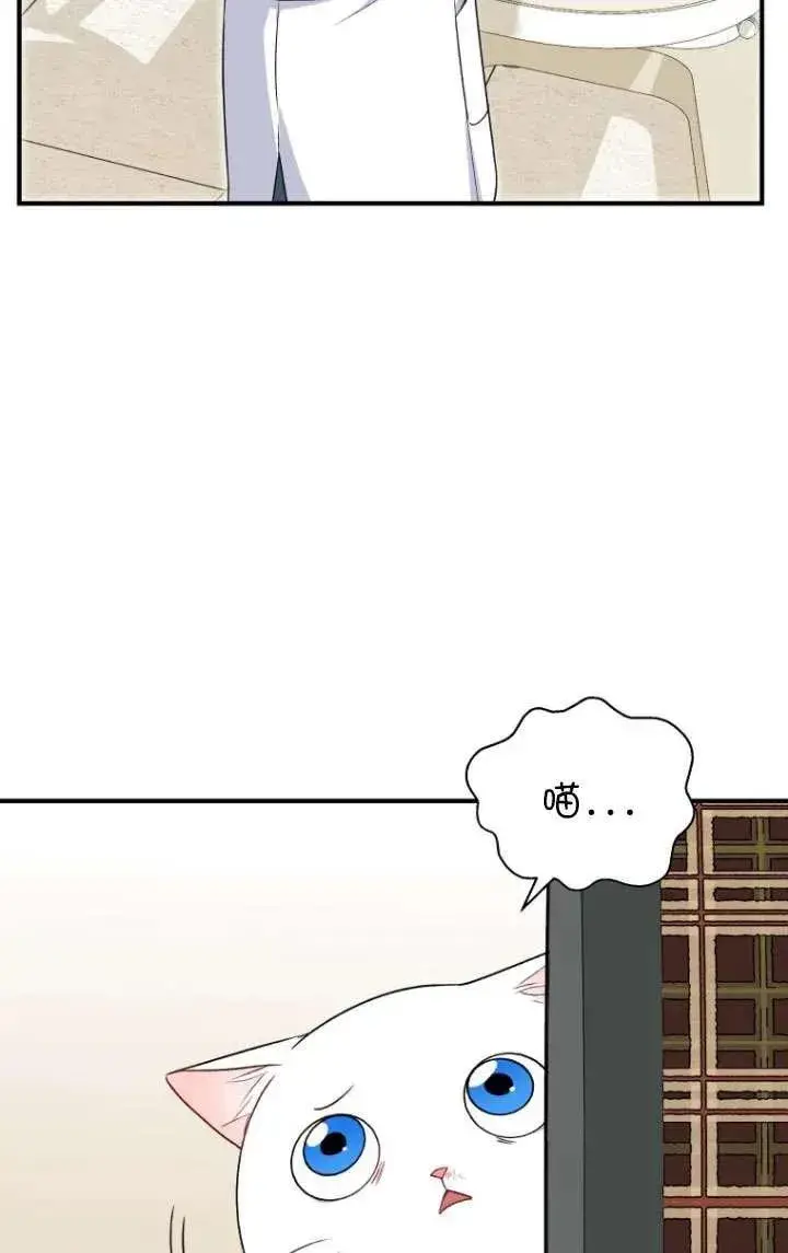 漫画《兽医先生！你好？》第05话第40张图