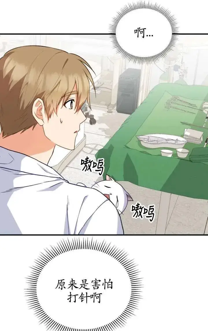 漫画《兽医先生！你好？》第05话第47张图