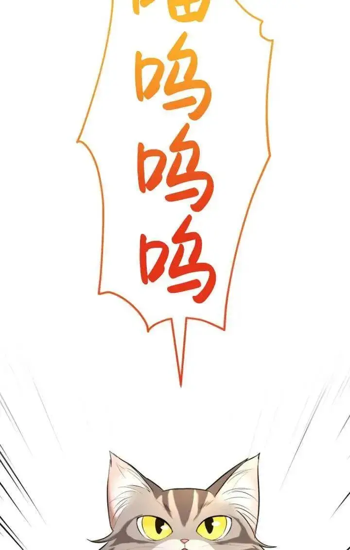 漫画《兽医先生！你好？》第06话第47张图