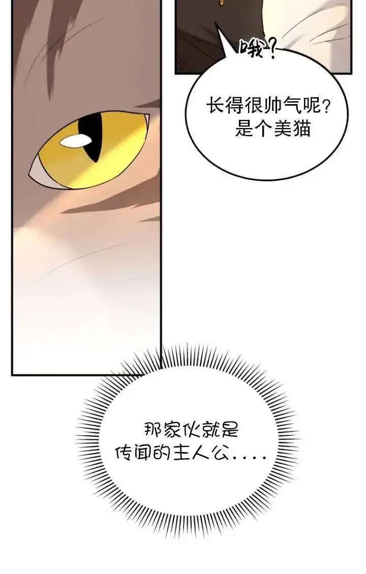 漫画《兽医先生！你好？》第06话第50张图