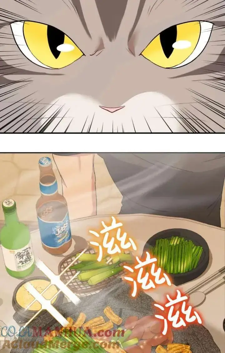 漫画《兽医先生！你好？》第06话第53张图