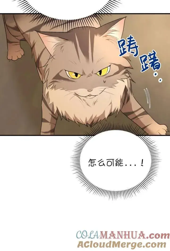 漫画《兽医先生！你好？》第06话第69张图