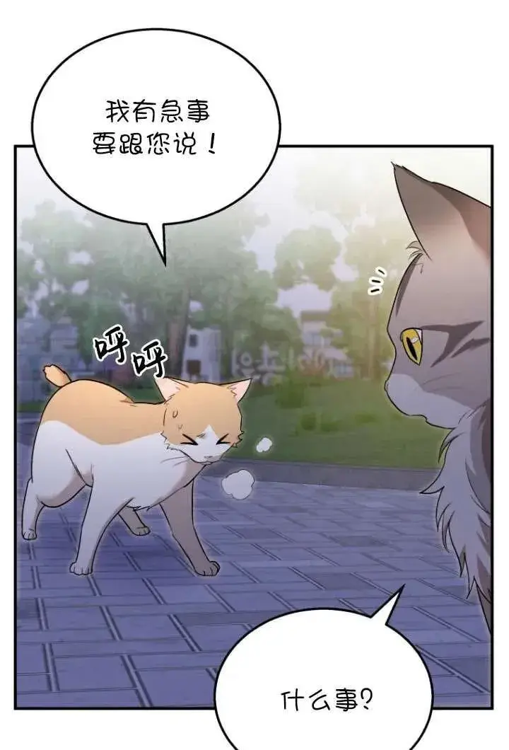 漫画《兽医先生！你好？》第06话第83张图