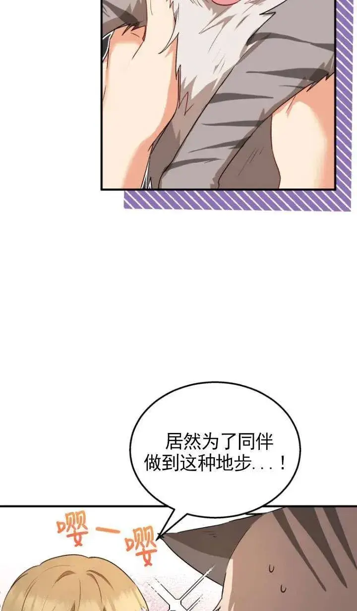 漫画《兽医先生！你好？》第07话第11张图