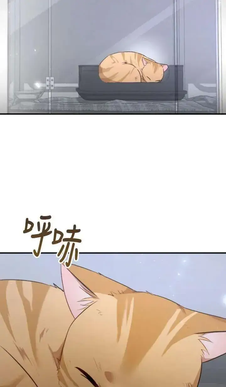 漫画《兽医先生！你好？》第07话第18张图