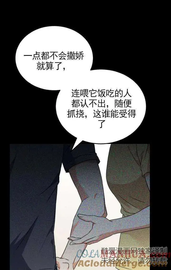 漫画《兽医先生！你好？》第07话第29张图