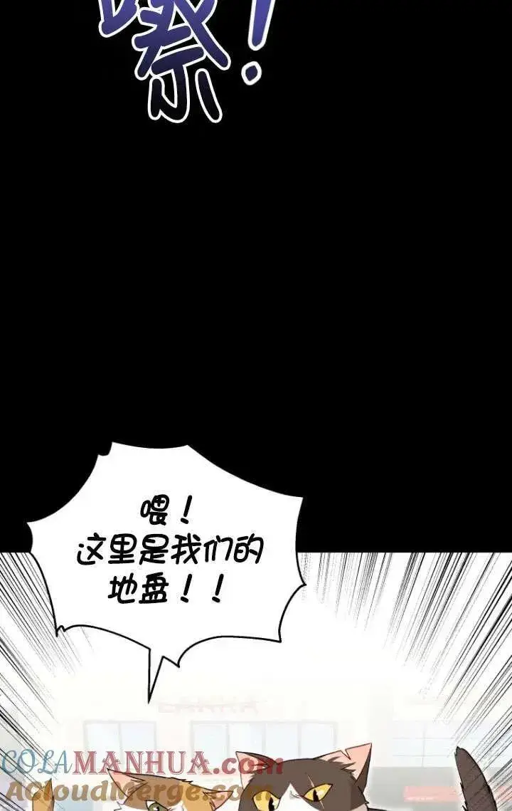 漫画《兽医先生！你好？》第07话第37张图