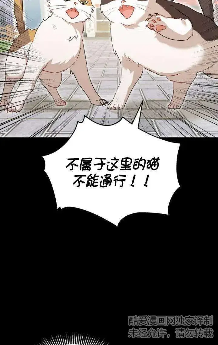 漫画《兽医先生！你好？》第07话第38张图