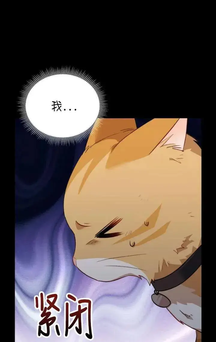 漫画《兽医先生！你好？》第07话第40张图