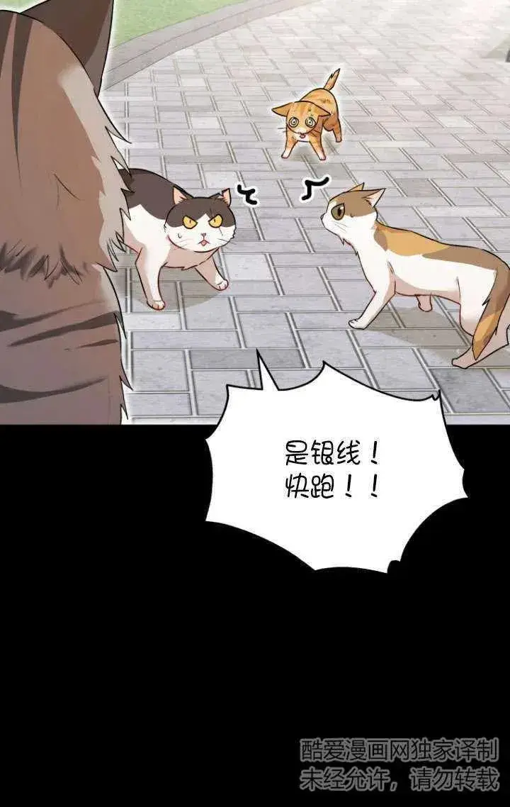 漫画《兽医先生！你好？》第07话第43张图