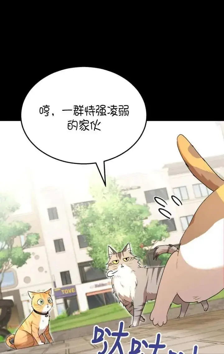 漫画《兽医先生！你好？》第07话第44张图