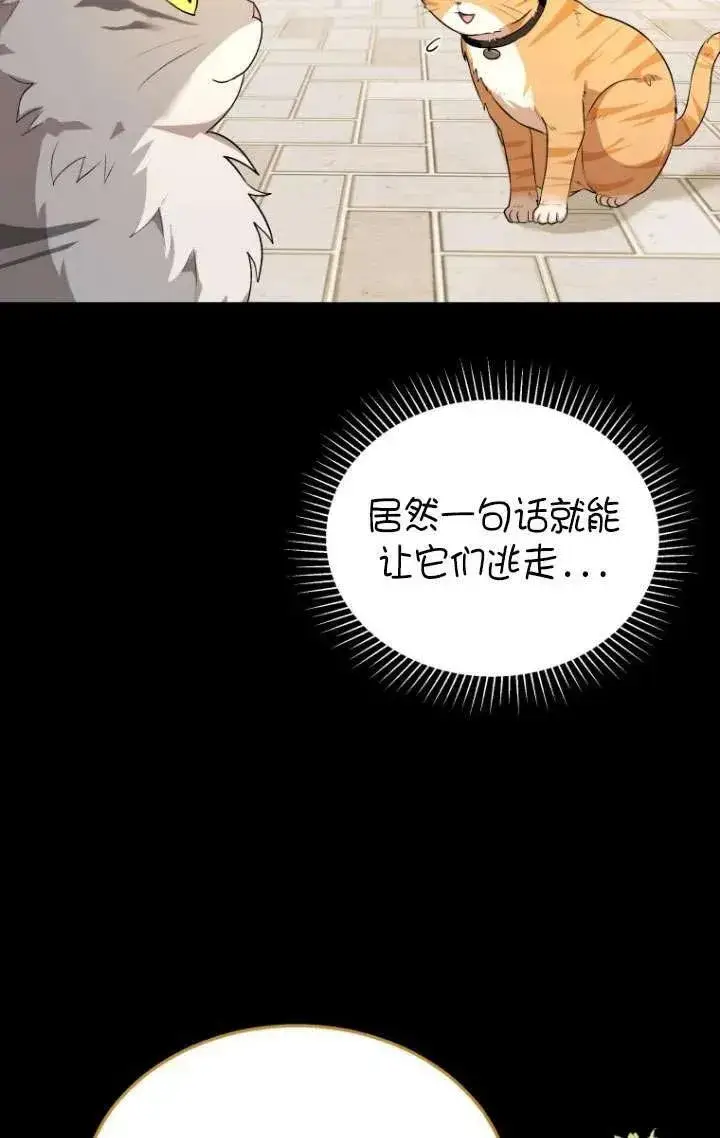 漫画《兽医先生！你好？》第07话第46张图